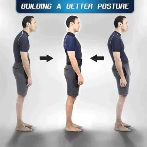 Posture Corrector Belt For Men And Women